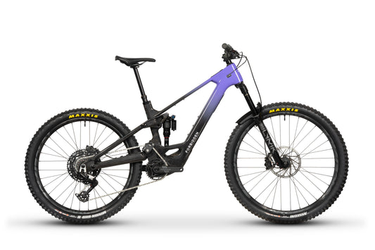 Forbidden Druid LitE 3 Ride the Lightning